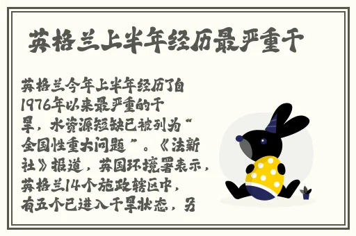 好妈妈4在线观看完整视频